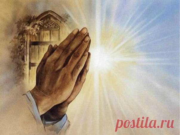 МОЛИТВЫ ОБ ИСЦЕЛЕНИИ

Молитва перед иконой Казанской Божьей Матри

О Пресвятая Госпоже Владычице Богородице! Со страхом, верою и любовию припадающе пред честною иконою Твоею, молим Тя: не отврати лица Твоего от прибегающих к Тебе, умоли, милосердая Мати, Сына Твоего и Бога нашего, Господа Исуса Хрииста, да сохранит мирну страну нашу, да утвердит ее во благочестии, Церков же Свою Святую непоколебиму да соблюдет, и от неверия, ересей и раскола да избавит. Не имамы бо иныя по...