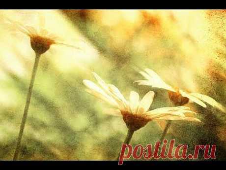Super Relaxing Piano Instrumental with Nature Sounds: Experience Deep Meditation, Relaxation, ☯050 - YouTube