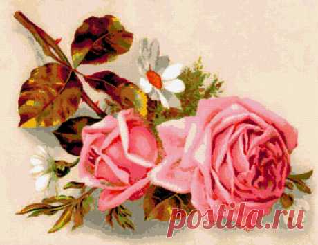 цвети - Схемы вышивки - svttik - Авторы - Портал «Вышивка крестом»