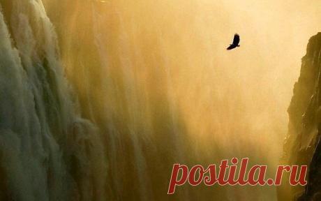 Однажды ты совершенно случайно окажешься в нужное время в нужном месте, и миллионы дорог сойдутся в одной точке.