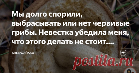 Мы долго спорили, выбрасывать или нет червивые грибы. Невестка убедила меня, что этого делать не стоит. Рассказываю почему