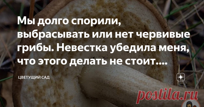 Мы долго спорили, выбрасывать или нет червивые грибы. Невестка убедила меня, что этого делать не стоит. Рассказываю почему