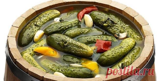 Малосольные огурцы рецепт - как приготовить хрустящие малосольные огурцы — УНИАН