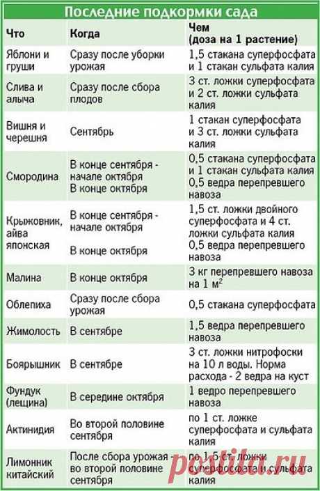 Подкормки для сада