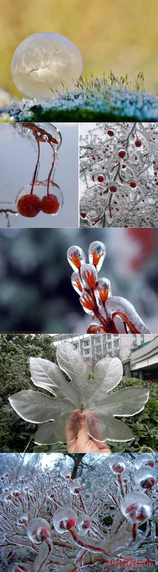 Ледяное очарование (фото) — Болтай