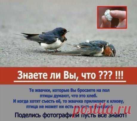 берегите природу | Хитрости Жизни