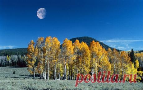 Осенние пейзажи на фотографии и анимашках