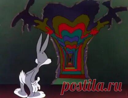 Elreydelmundo 1 01: смотрите и скачивайте изображения — Яндекс Картинки