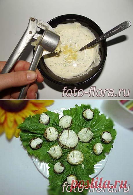 Закуска из кабачков на праздничный стол - очень вкусно и красиво! Как приготовить овощи просто и быстро