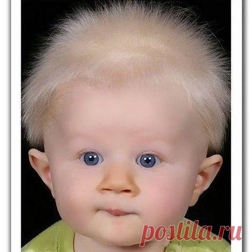 Проверяем слух у врача в поликлинике. Врач шёпотом:
— Конфета.
Сева (3 года), тоже шёпотом:
— Мне нельзя — аллергия...