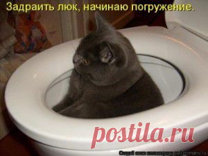 Знаменитые задницы, или «У нее такая…» | ПолонСил.ру - социальная сеть здоровья