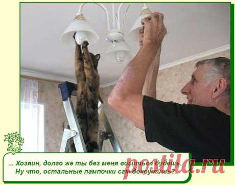 Хорошее настроение рядом