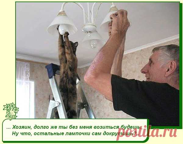 Хорошее настроение рядом