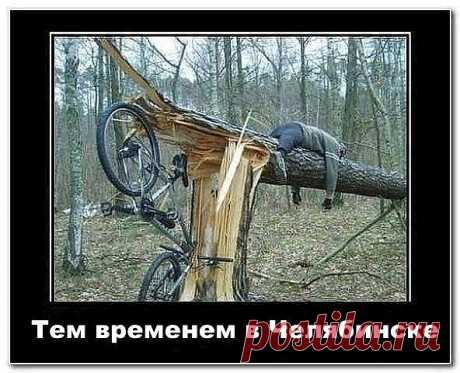 приколы