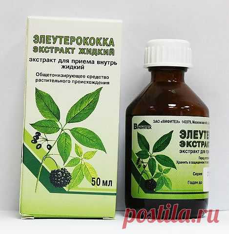 Настойка элеуторококка и другие настойки при гипотонии и упадке сил