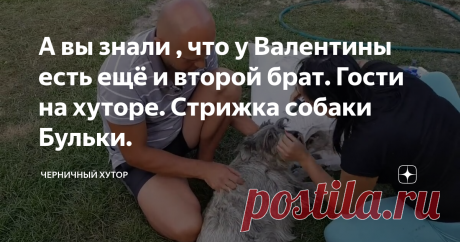 А вы знали , что у Валентины есть ещё и второй брат. Гости на хуторе. Стрижка собаки Бульки.