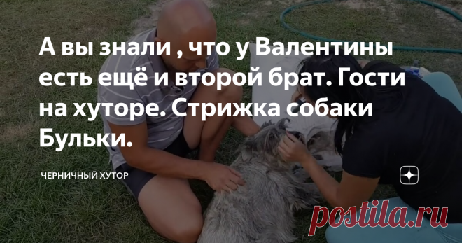 А вы знали , что у Валентины есть ещё и второй брат. Гости на хуторе. Стрижка собаки Бульки.