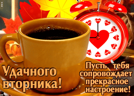 Милая гиф-открытка, удачного вторника