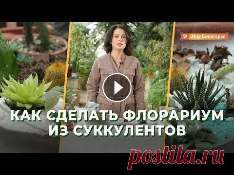 Как сделать флорариум из суккулентов: мастер-класс Наш сайт: Многие жители мегаполисов отказываются от горшечных растений: из-за нехватки времени трудно уделять цветам должное внимание. Заменить их мож...