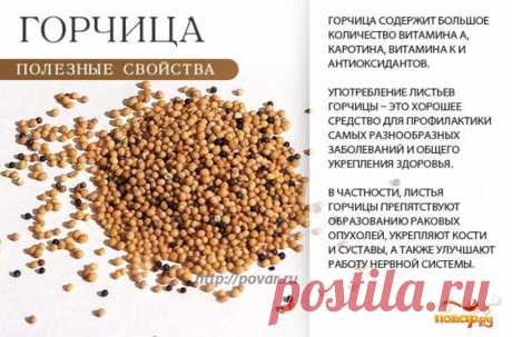 Горчица полезные свойства