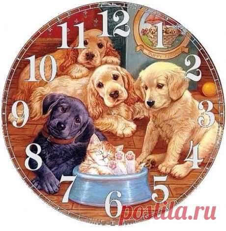 (72) Одноклассники