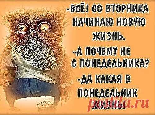 Приезжают три молодых офицера в часть. Приходят в штаб представляться командиру полка.... 
Курица из супермаркета — двоюродная сестра птицы Феникс. После истечения срока годности она возрождается и ложится обратно на прилавок с новой датой рождения.

Просто удивительно, насколько важна ваш…