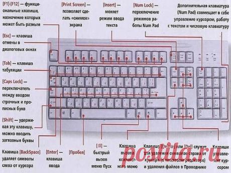 ЗНAЕТЕ ЛИ ВЫ КЛAВИАТУРУ НА СВOЁМ КOМПЬЮТЕРЕ? 
СОХРАНИТЕ ИНФОРМАЦИЮ ! ПРИГОДИТСЯ!
F1— вызывает «справку» Windows или окно помощи активной программы. В Microsoft Word комбинация клавиш Shift+F1 показывает форматирование текста; 

F2— переименовывает выделенный объект на рабочем столе или в окне проводника; 

F3— открывает окно поиска файла или папки на рабочем столе и в проводнике. Комбинация клавиш Shift+F3 часто используется для поиска в обратном направлении; 

F4— открыва...