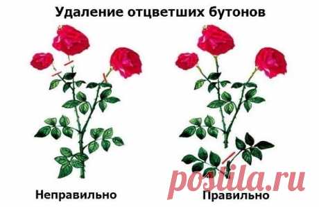 (47) Одноклассники