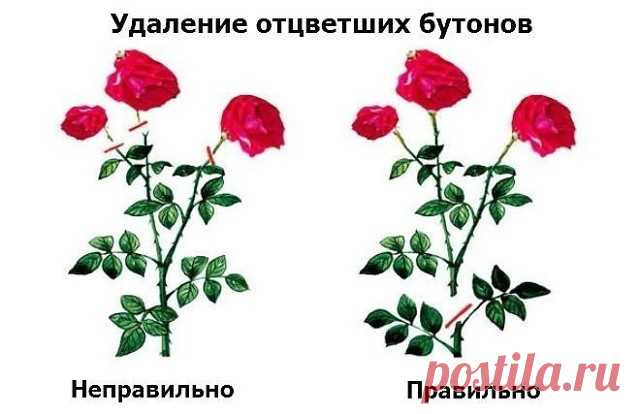 (47) Одноклассники