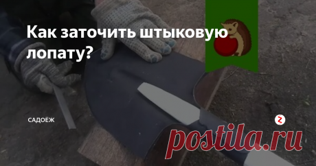 Как заточить штыковую лопату? Простой и эффективный метод с использованием элементарного инструмента