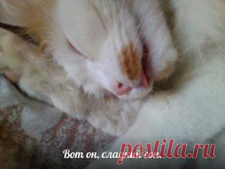 Обновления