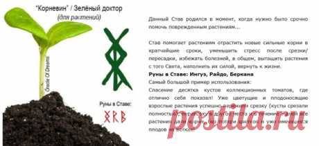 #Оracleofdreams #magic #runes #witchcraft #ставы #руны #глифы #литеры #магия #колдовство #графическаямагия #руническаямагия Просматривайте этот и другие пины на доске руны пользователя Anastasiya.
Теги
#Оracleofthedreams #runeswitches #magicwitch #witch #gnomes #ставы #ставыдляденег #ставдлябогатства #денежныйканал #денежныеставы #ставыбогатства
Просматривайте этот и другие пины на доске #Руны пользователя Руны.
Магия.
Я.
Теги
Руны
Что говорят другие
#Руны #Став #Привлечение #любви #Светлана #…