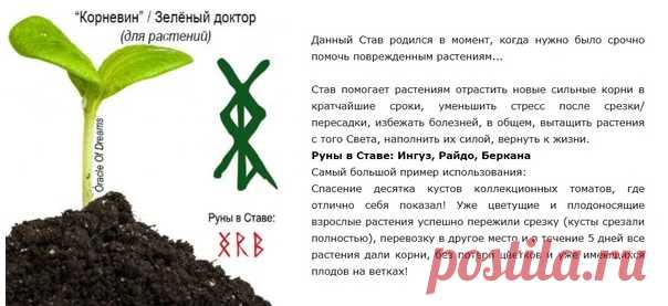 #Оracleofdreams #magic #runes #witchcraft #ставы #руны #глифы #литеры #магия #колдовство #графическаямагия #руническаямагия Просматривайте этот и другие пины на доске руны пользователя Anastasiya.
Теги
#Оracleofthedreams #runeswitches #magicwitch #witch #gnomes #ставы #ставыдляденег #ставдлябогатства #денежныйканал #денежныеставы #ставыбогатства
Просматривайте этот и другие пины на доске #Руны пользователя Руны.
Магия.
Я.
Теги
Руны
Что говорят другие
#Руны #Став #Привлечение #любви #Светлана #…