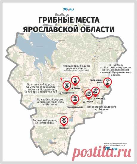Народная карта самых грибных мест