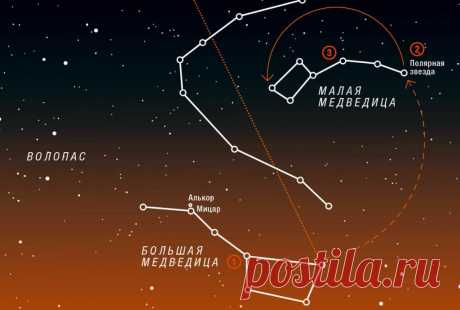 Картинки про созвездия (41 фото) ⭐ Забавник