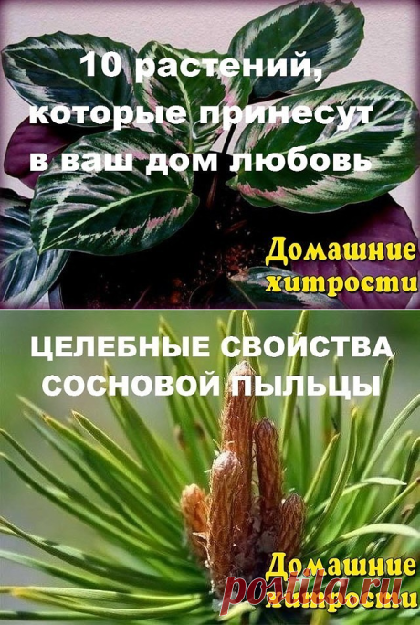 (1) Одноклассники