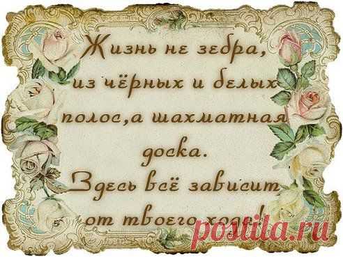 Однокласники