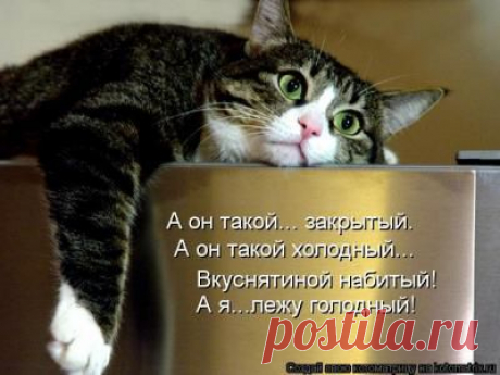 MeetMe | Главная
