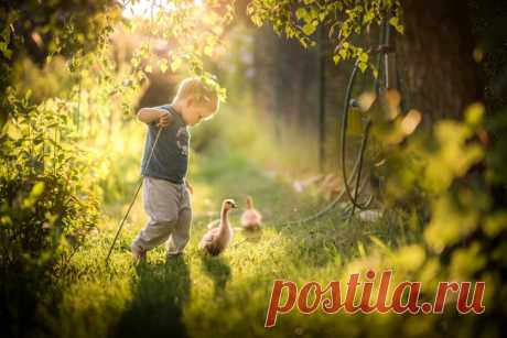 25 лучших фотографий на Flickr за 2015 год;)) — Фотоискусство