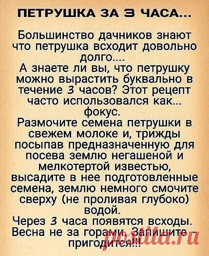 ПЕТРУШКА за 3 часа🏻
 
 
 
ЗАПИШИТЕ СЕБЕ ЭТОТ РЕЦЕПТ, А ЛУЧШЕ СОХРАНИТЕ!!!