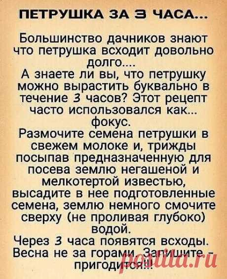 ПЕТРУШКА за 3 часа🏻
 
 
 
ЗАПИШИТЕ СЕБЕ ЭТОТ РЕЦЕПТ, А ЛУЧШЕ СОХРАНИТЕ!!!