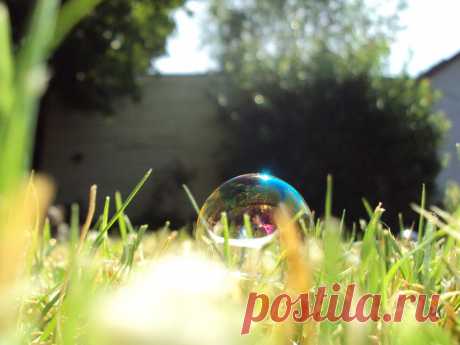 Фотопост: первый день лета | Selfhacker.ru