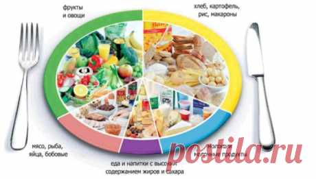 Калорийность питания и здоровье.