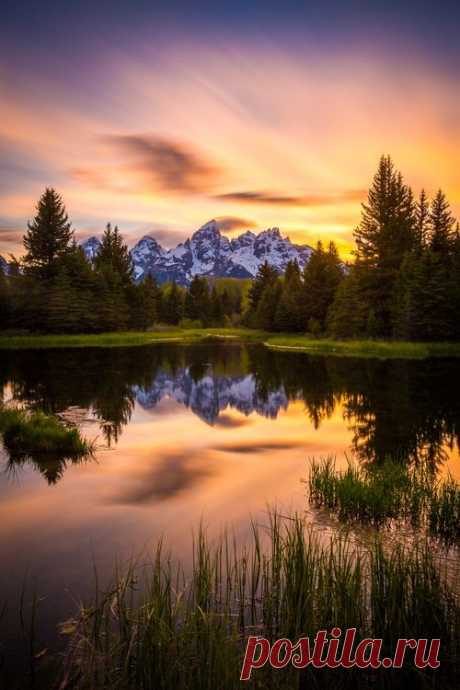 Belle nature
