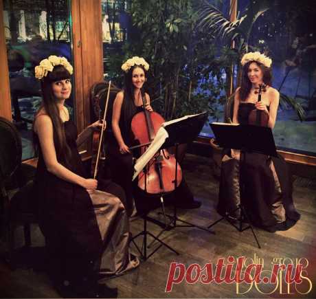 Струнное трио Violin Group DOLLS - музыкальное сопровождение юбилейного вечера.