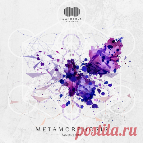 VA - MNDRL003 - Metamorphosis V/A MNDRL003 » MinimalFreaks.co