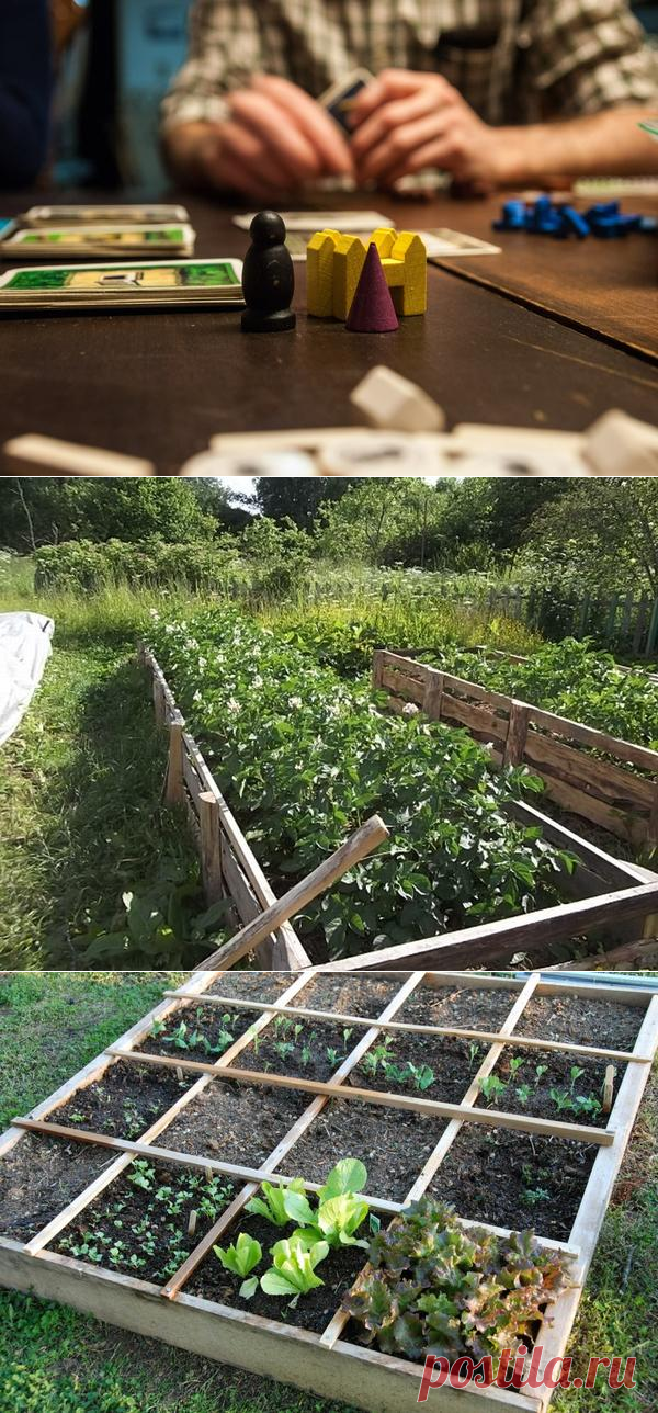 Огородный Каркассон: собери свою грядку.