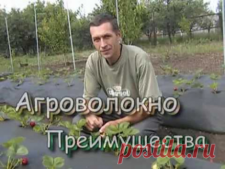 ▶ Агроволокно - YouTube