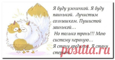 мудрязматики