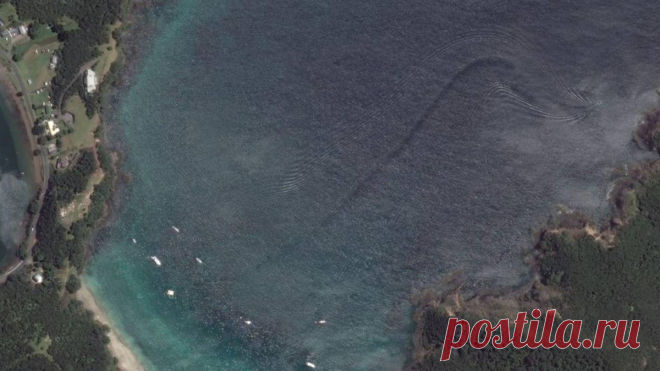 Загадочные подводные существа, замеченные на спутниковых снимках | Малдер расскажет | Яндекс Дзен